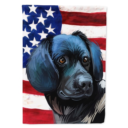 Carolines Treasures Stabyhoun Dog American Canvas House Flag - 28 x 0.01 x 40 in. CK6723CHF